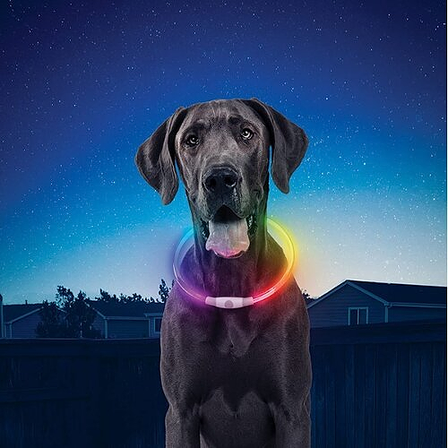 Nite Ize - NiteHowl® Rechargable LED Safety Necklace - DISC-O SELECT™